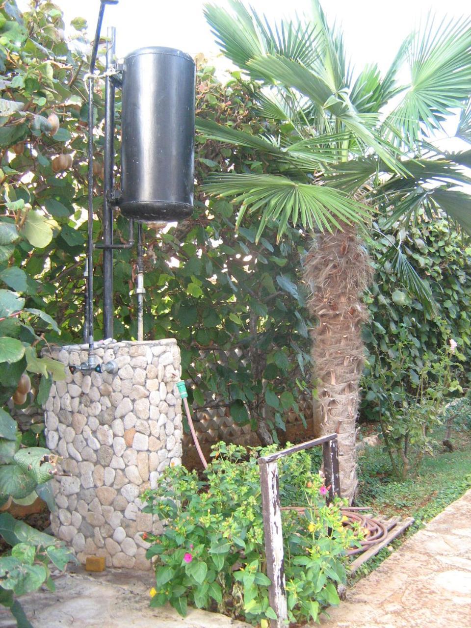 Villa Maria Novigrad Istria Exterior foto