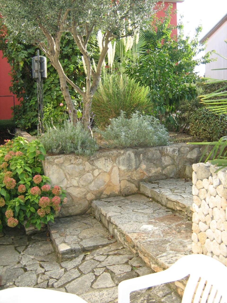 Villa Maria Novigrad Istria Exterior foto